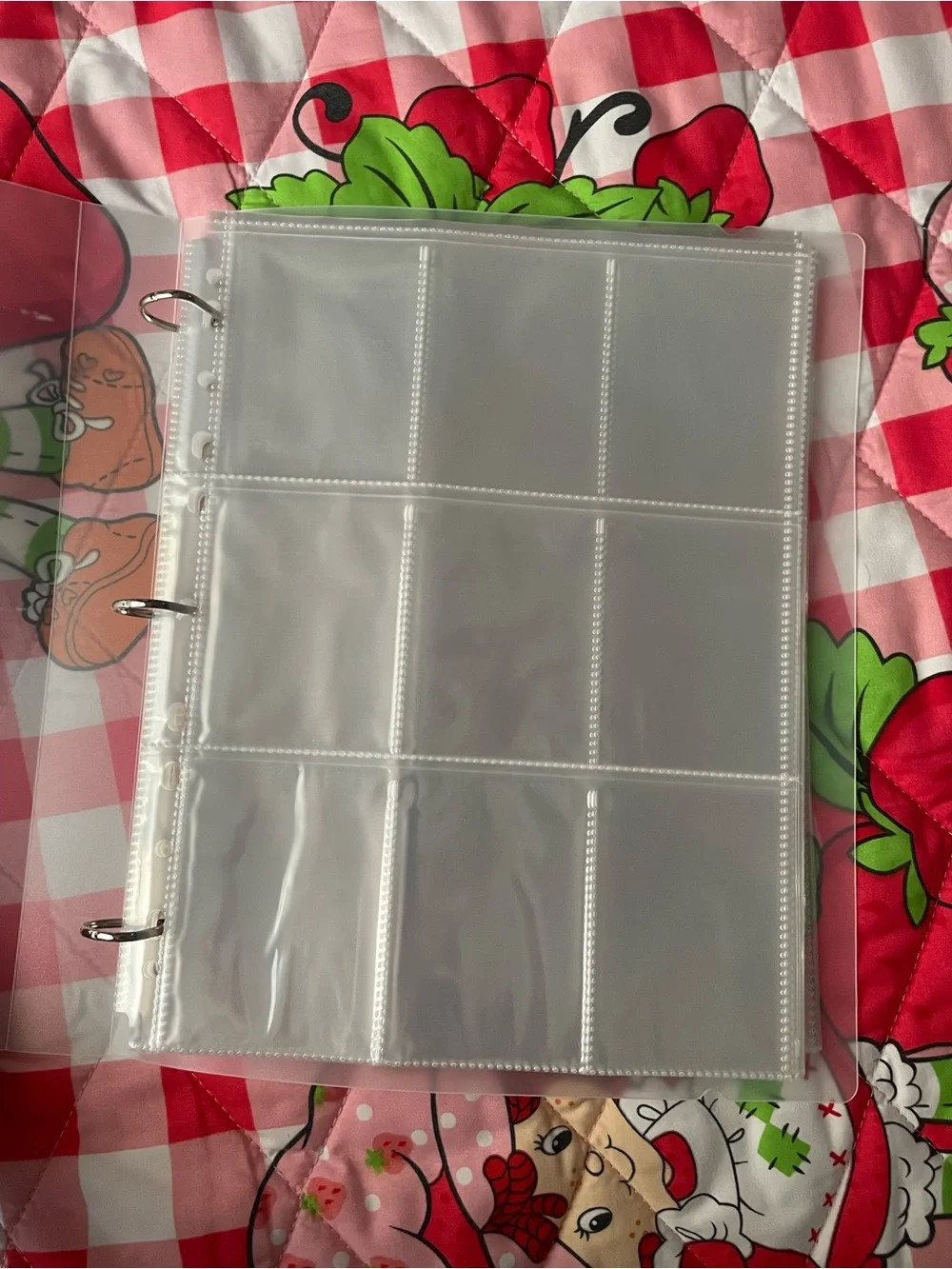 Folder for Trading Cards/Polariods